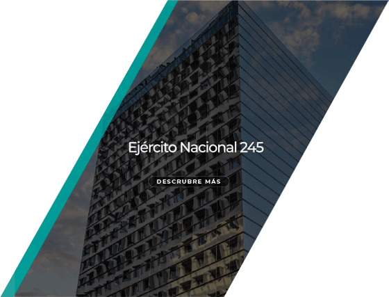 ejercito nacional