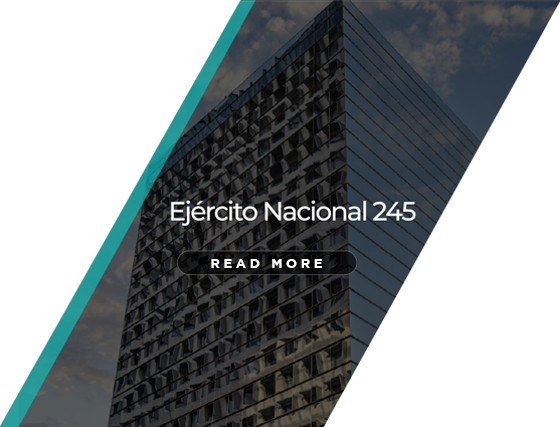 ejercito nacional